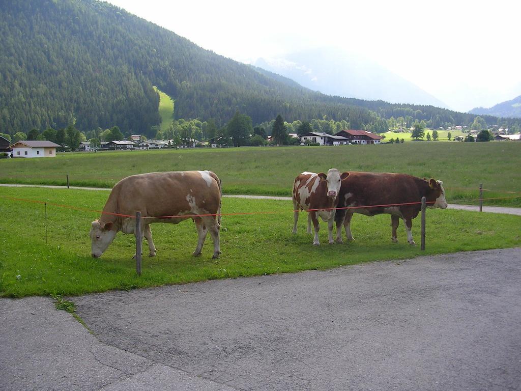 Schönau am Königssee 博得奈勒恩旅馆酒店 客房 照片